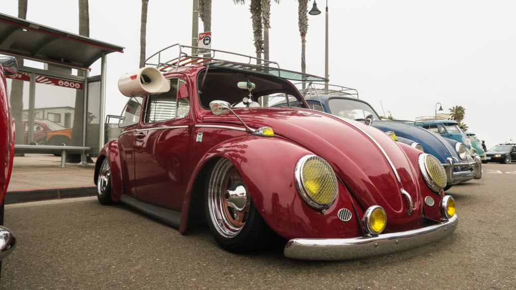 slammed bug