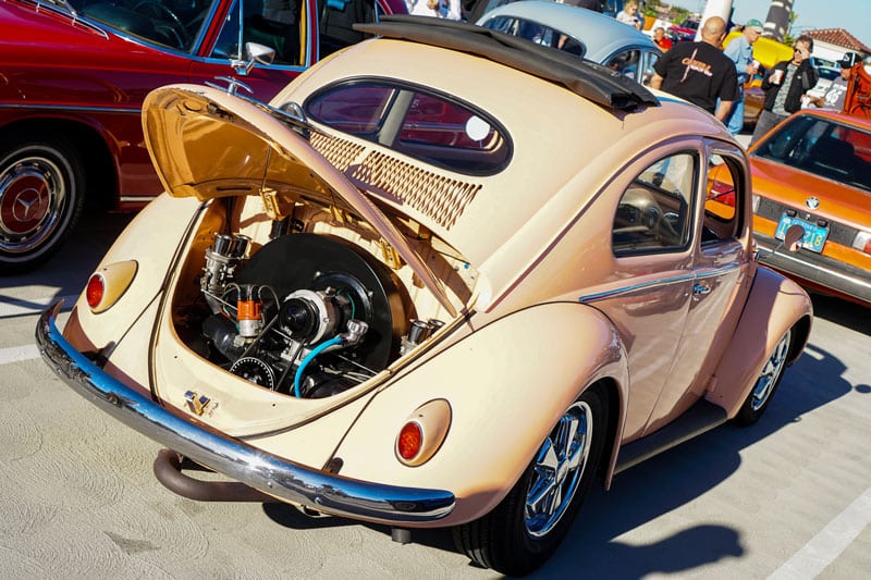 oval window bug